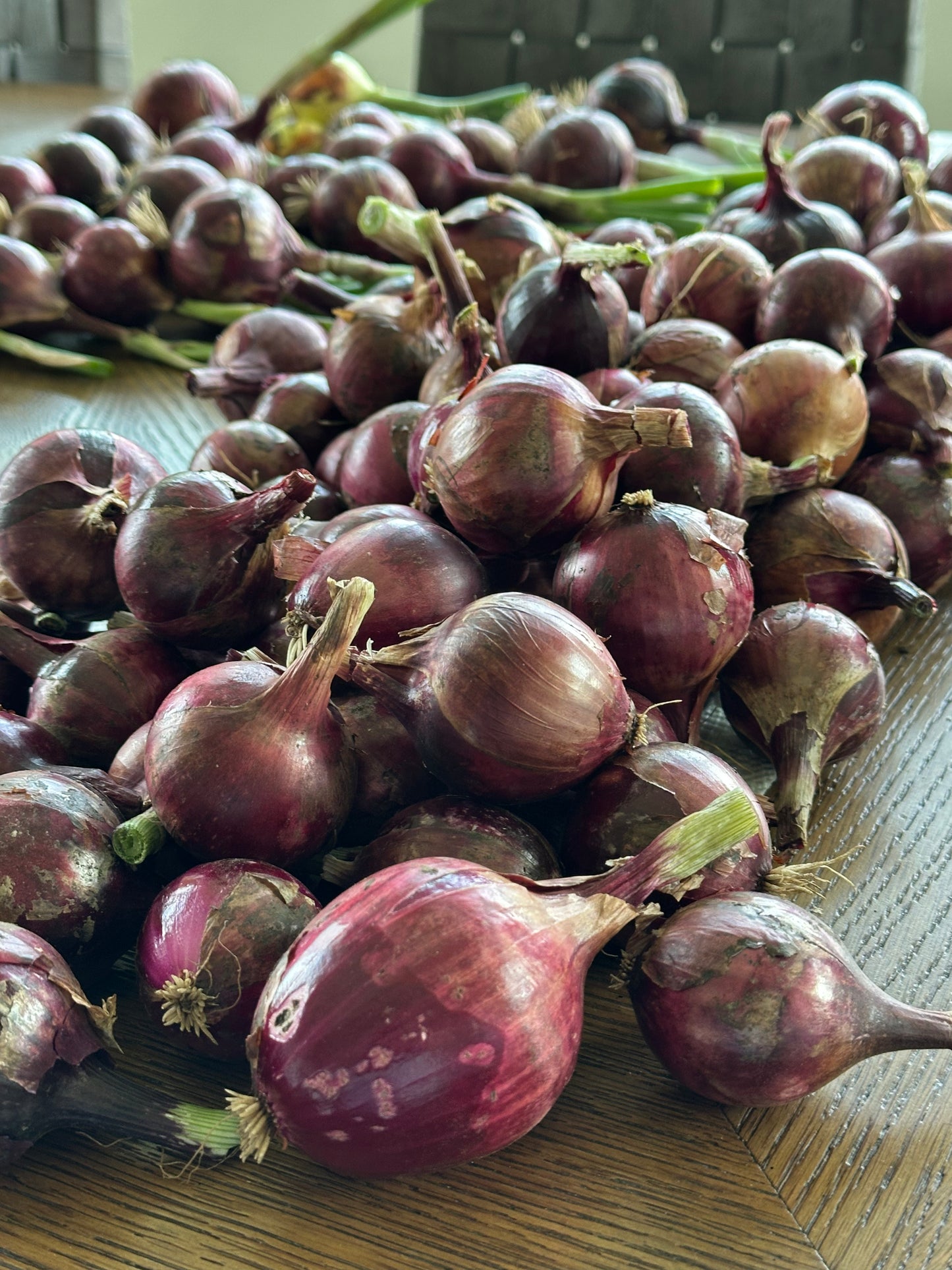 Fresh Red Onions
