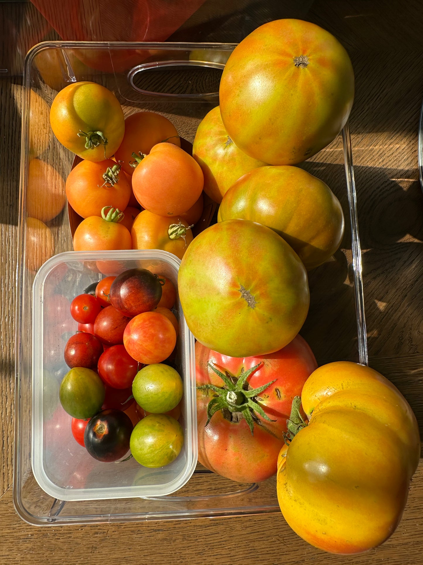 Slicing Tomatoes