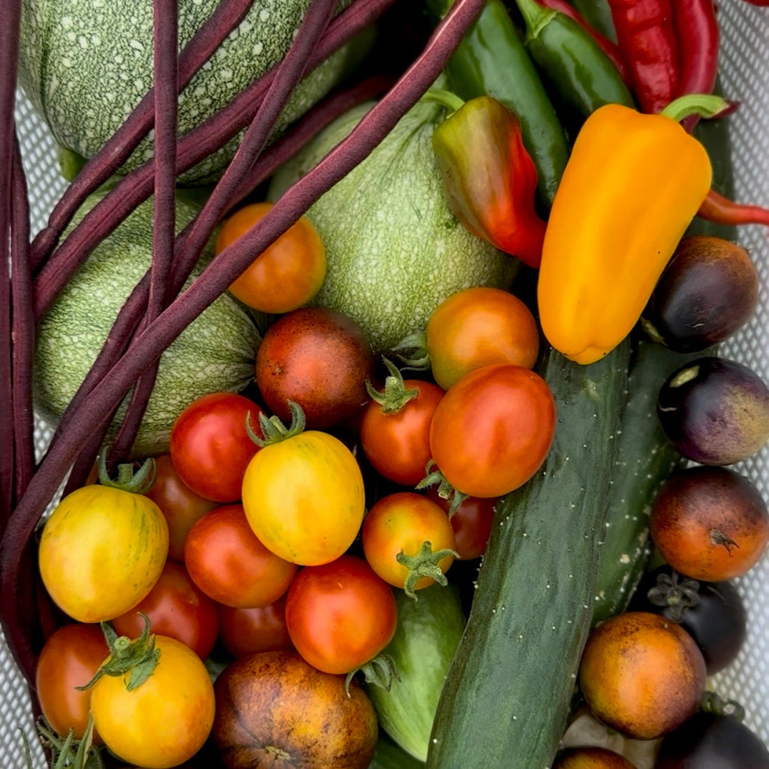 How to Grow Vegetables with Nature in Mind