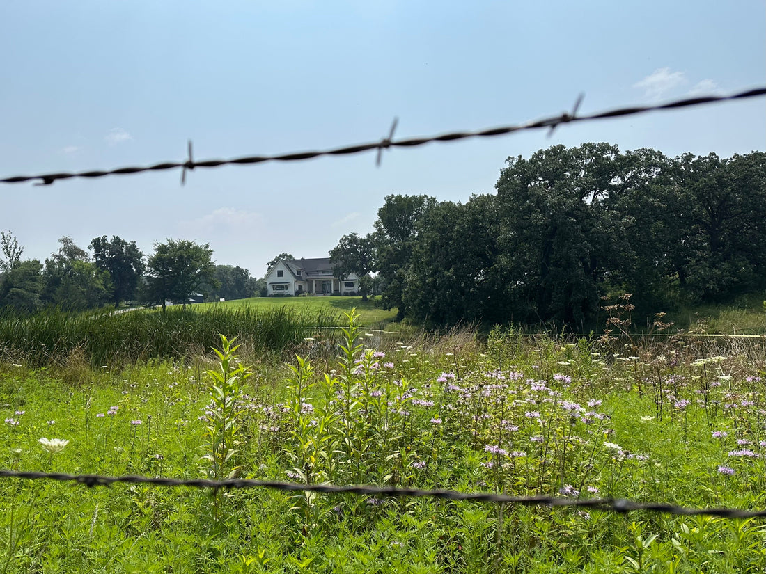 Why Leaving Space for Native Habitat Matters