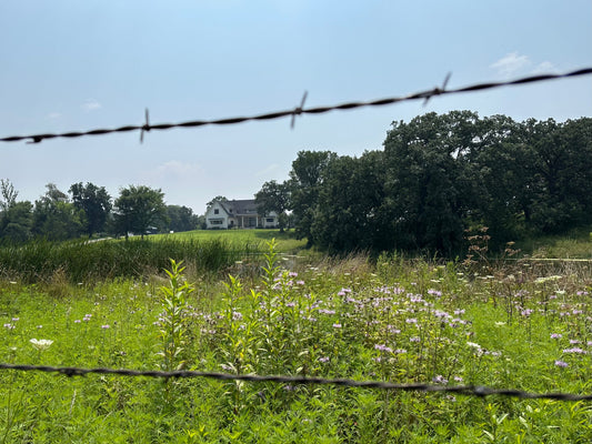 Why Leaving Space for Native Habitat Matters