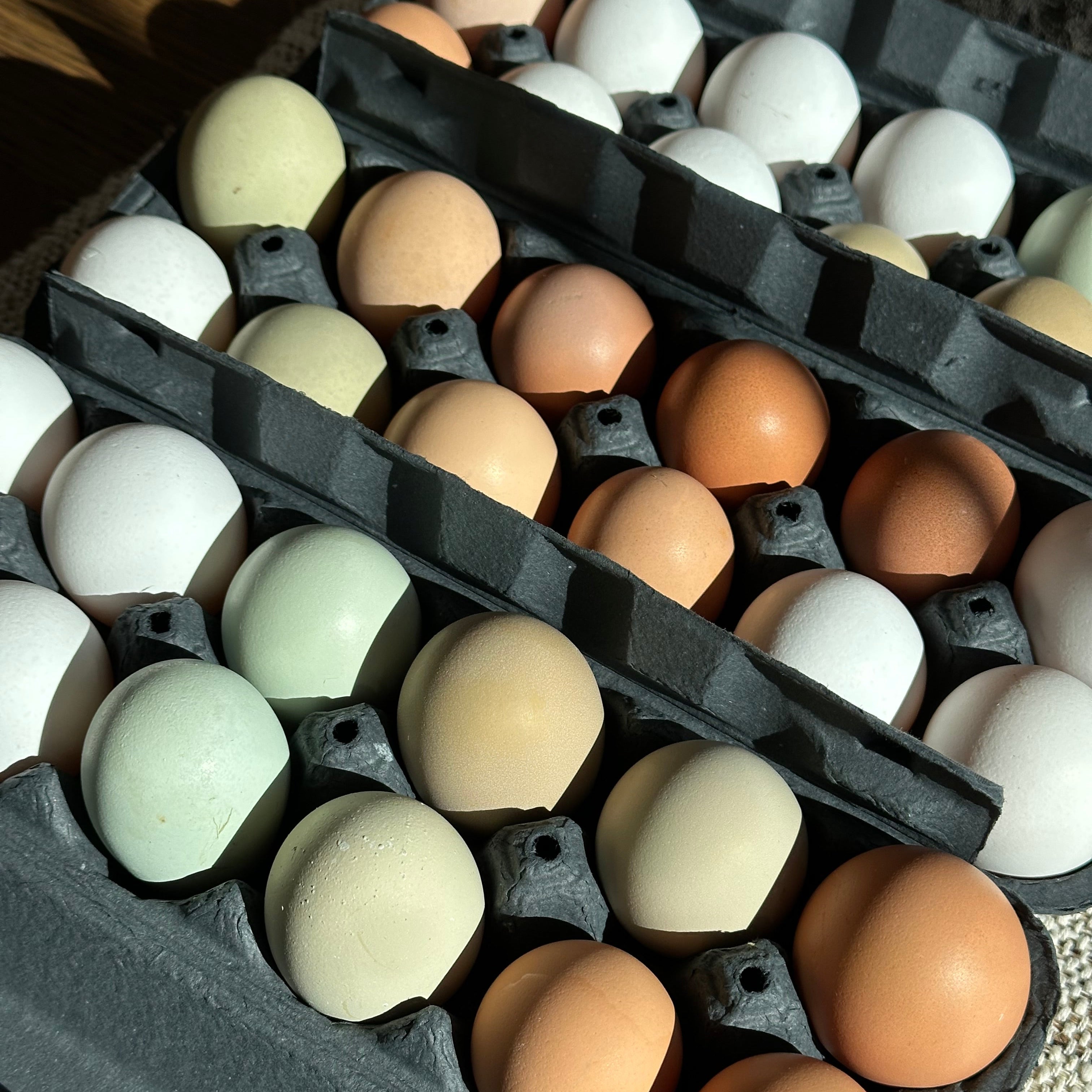 Pasture Raised Eggs