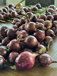 Fresh Red Onions