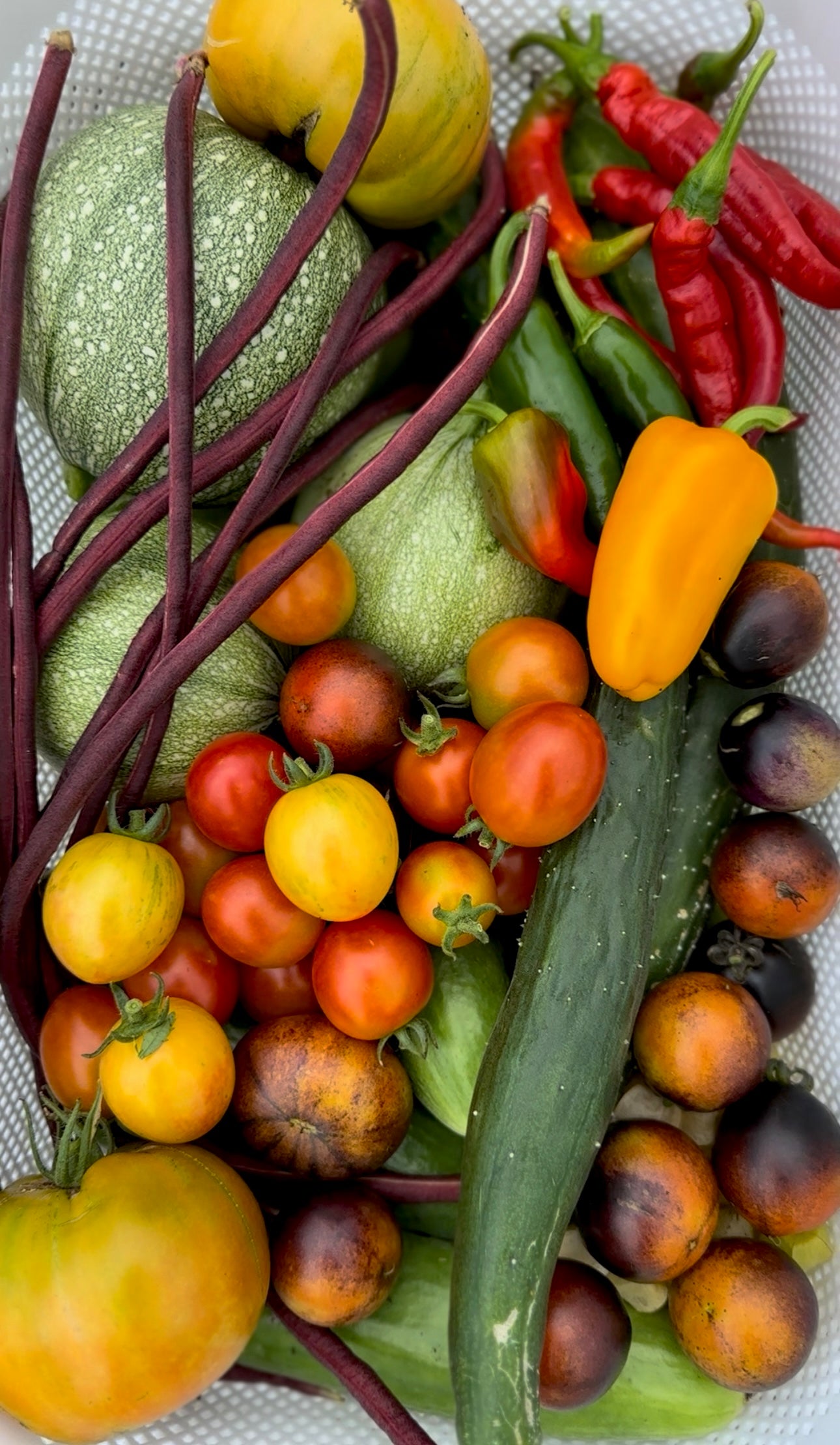 Cherry Tomatoes