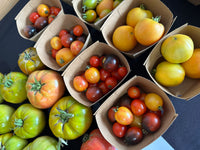 Cherry Tomatoes