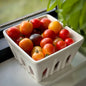 Cherry Tomatoes